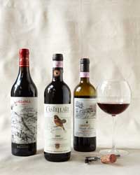 Chianti: Tuscan Vineyard
