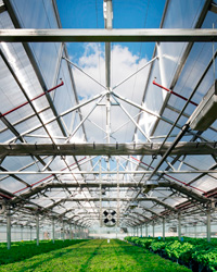 Gotham Greens: Rooftop Greenhouse