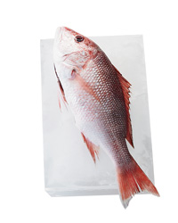 Sustainable Seafood: Red Snapper