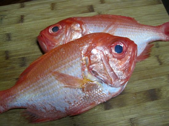 Dukank Diet Recipe Grilled Red Snapper