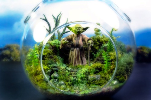 Yoda Terrarium